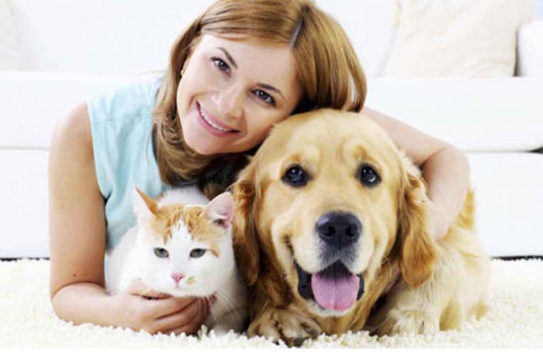 46 Beneficios de las terapias asistidas por animales