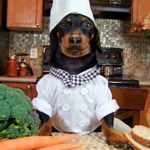 Ebook muffins, cookies, cocina y recetas para mascotas